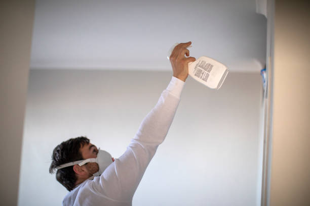 Best Residential Mold Removal  in Wakarusa, IN