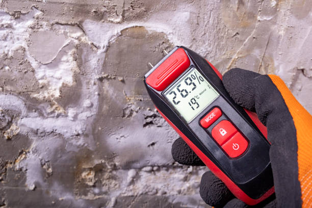 Professional Mold Removal in Wakarusa, IN