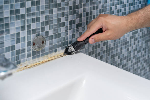 Best Home Mold Removal  in Wakarusa, IN