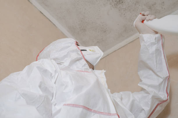 Best Fast Mold Removal  in Wakarusa, IN