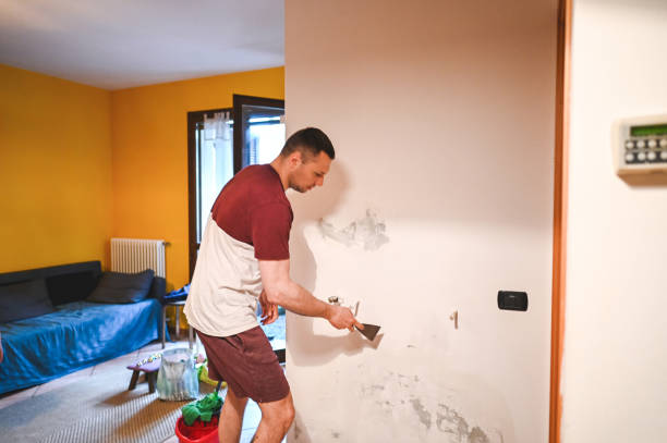 Best Crawl Space Mold Removal  in Wakarusa, IN