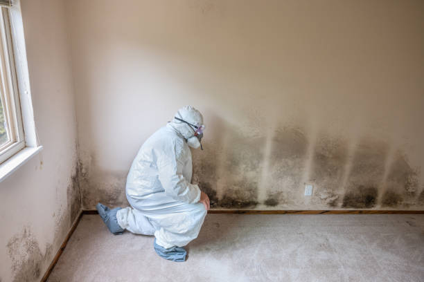 Best Mold Inspection  in Wakarusa, IN